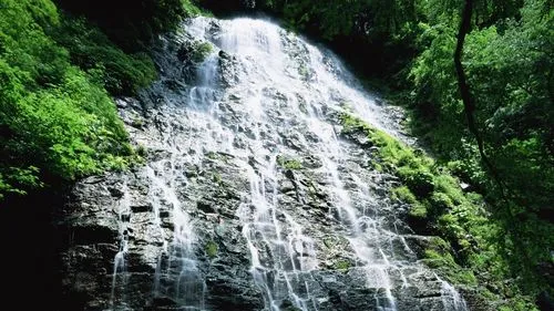 高端可靠性高端
